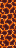 Bloque de Magma